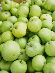 apple box market