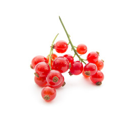red currants
