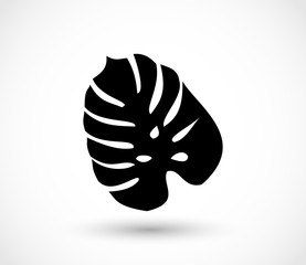 Tropical exotic leaf shape vector