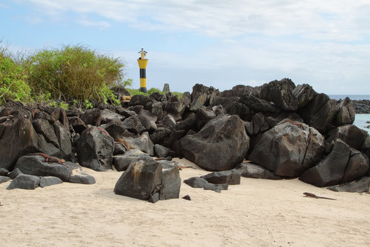 View Of Lighthouse In Punta Suarez