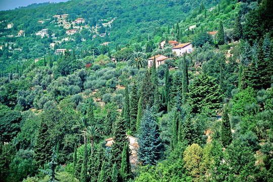 GRASSE, sur la route de CABRIS ( 06 Alpes maritimes )