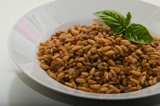 First dish of cold camut and lentil