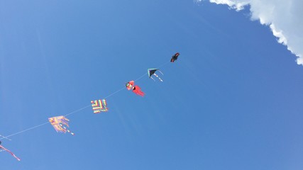 kites in a blue sky