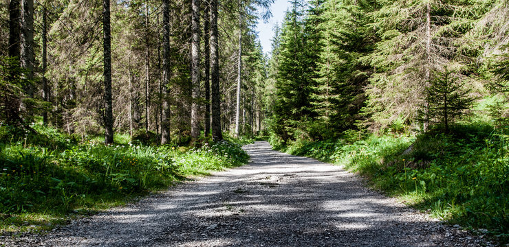 Tannheimer Tal, &Ouml;sterreich, Wanderweg Vilsalpsee