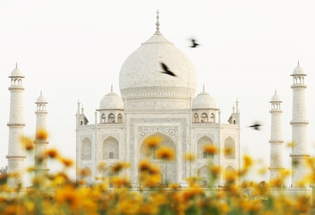 Taj Mahal in Agra, India, Asia
