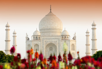 Fototapeta na wymiar Taj Mahal in Agra, India, Asia
