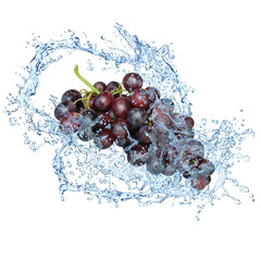 Obst 652
