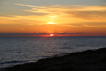 mare