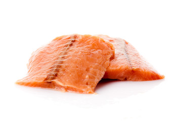 salmon fish