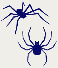 Black spider. Doodle style