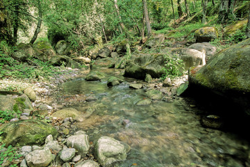 Obraz premium CONTES ( Alpes-Maritimes )