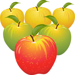 vector set of colorful apples