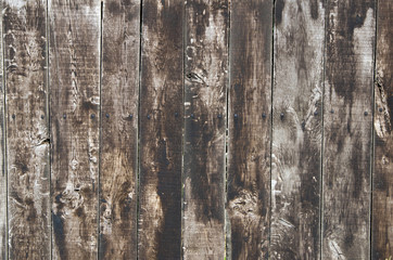Fototapeta premium wood background