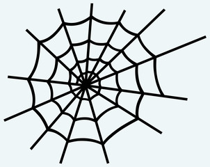 Fototapeta premium Spider net