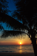 beach in sunset time.  palm trees silhouette on sunset tropical