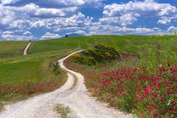 Val d'Orcia, white road