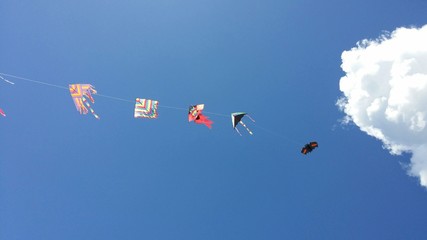 kites in a blue sky