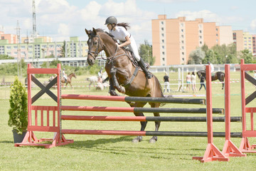 horse jumping