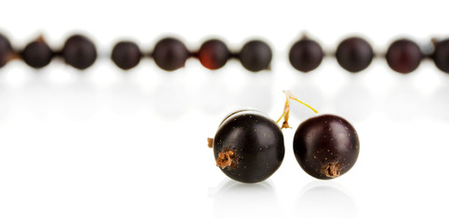Fresh black currant isolated on white