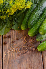 Fresh cucumbers and spices on wooden table, close-up