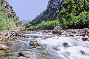 GORGES DE LA VESUBIE ( 06 Alpes Maritimes ), Le torrent de la V