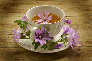 Malva sylvestris Erdei mályva Mallow Grande mauve خبازة برية