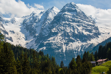 Obraz premium bergtoppen langs de Stelviopas.Stilfersjoch