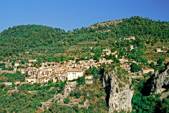 F06. PEILLE