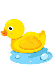 Rubber duck