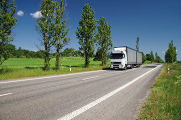 Fototapeta na wymiar Road lined with poplar alley, passing white truck