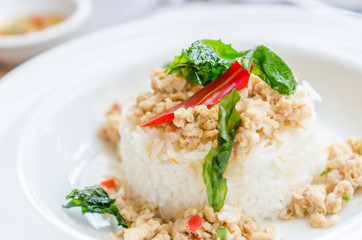 Spicy fried chicken with basil and rice