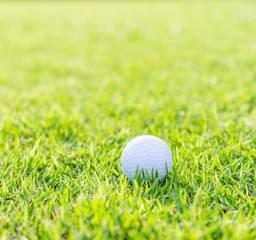 Golf ball on green grass