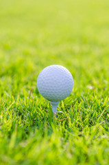 Golf ball on green grass