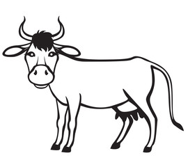 Contour cow
