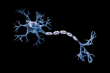 digital illustration neurons