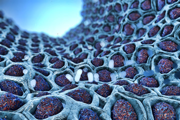 digital illustration membrane