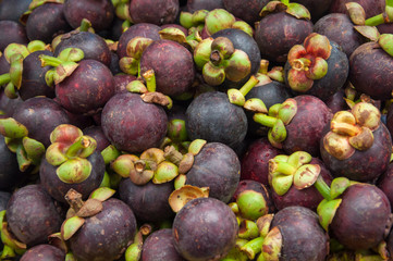 mangosteen