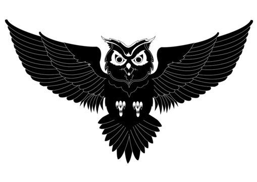 Owl tattoo 