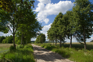 Fototapeta na wymiar Country road landscape