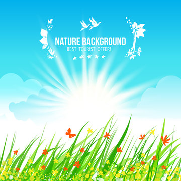 Sky and grass, blue and green background