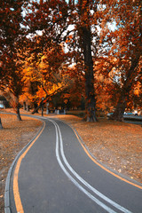 Bike Path in the autumn park