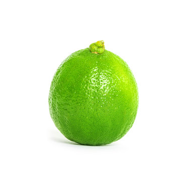 Limes