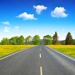 Asphalted road in spring landscape