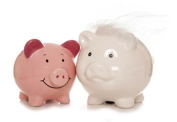 saving for a wedding piggybanks