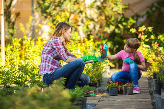 Mother and daughter planting flowers together.