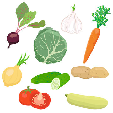 Vector vegetable set