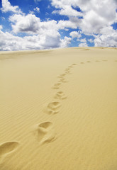 Spuren im sand
