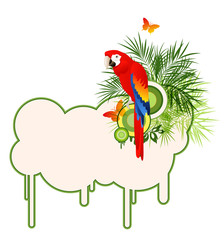 Summer tropical  background