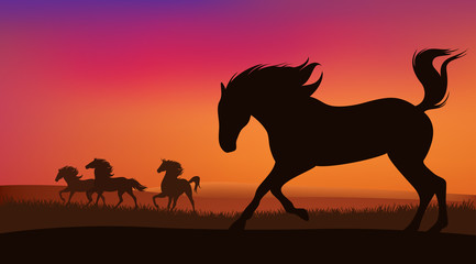 mustang horse running at sunset