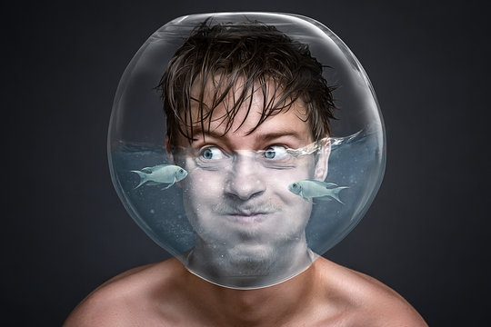Home Diver